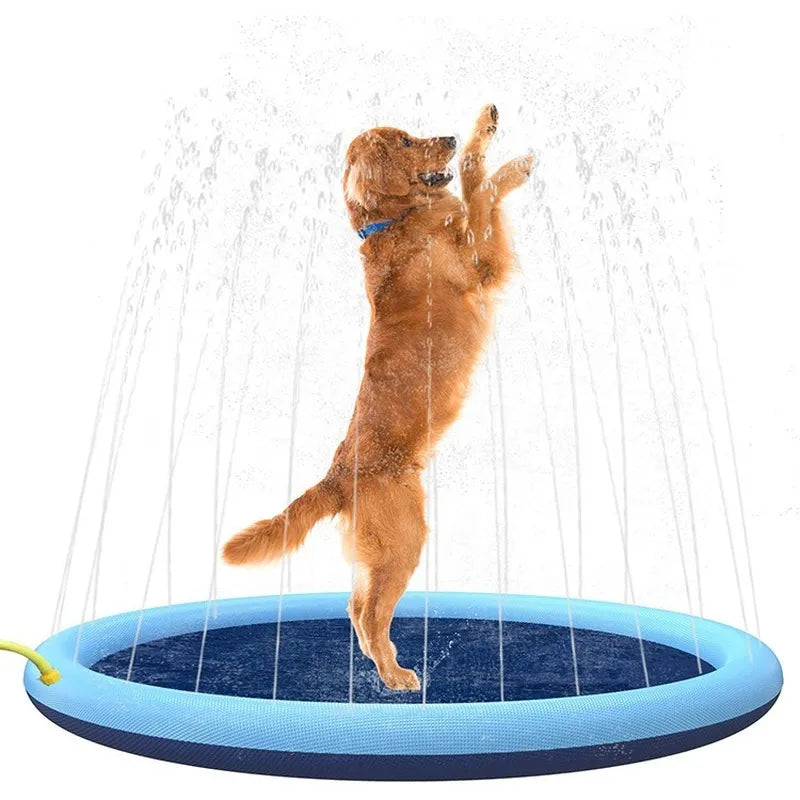 Piscina Para Pets Com Sistema de Irrigação, Novidade para seu petz, Divertido banho a qualquer hora do dia ou noite.