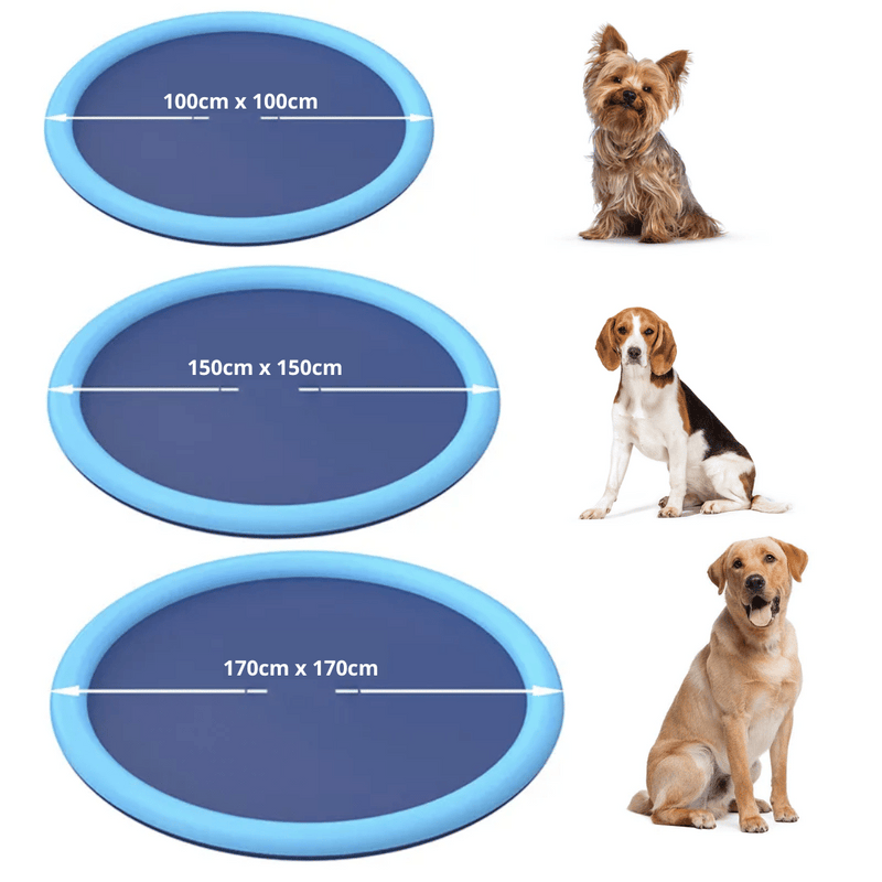 Piscina Para Pets Com Sistema de Irrigação, Novidade para seu petz, Divertido banho a qualquer hora do dia ou noite.